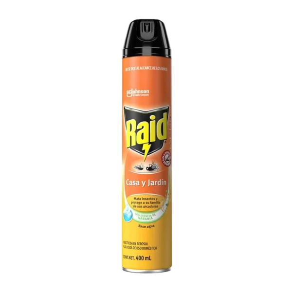 Raid House and Garden insecticide spray 400ml can